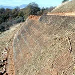 Wire Fence for Walls